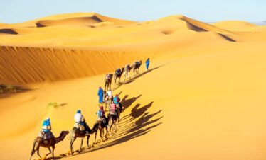 Jaisalmer Desert Safari Tour – 2 Nights / 3 Days