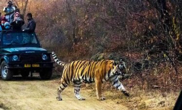 Sariska National Park Tour – 2 Nights / 3 Days
