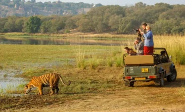 Ranthambore National Park Tour – 2 Nights / 3 Days